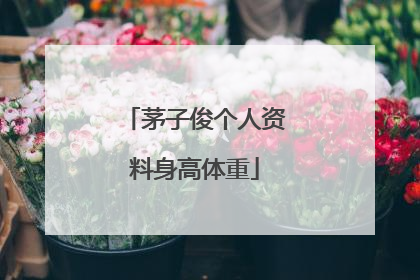 茅子俊个人资料身高体重