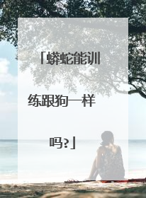 蟒蛇能训练跟狗一样吗?