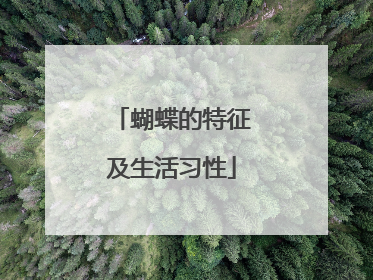 蝴蝶的特征及生活习性