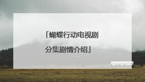 蝴蝶行动电视剧分集剧情介绍