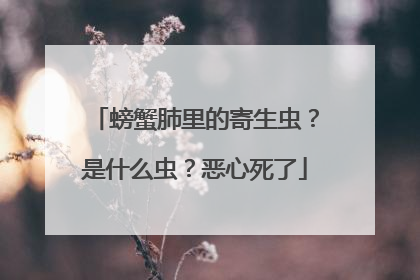 螃蟹肺里的寄生虫？是什么虫？恶心死了