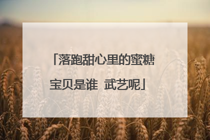 落跑甜心里的蜜糖宝贝是谁 武艺呢