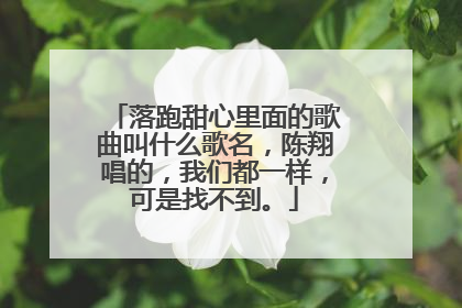 落跑甜心里面的歌曲叫什么歌名，陈翔唱的，我们都一样，可是找不到。