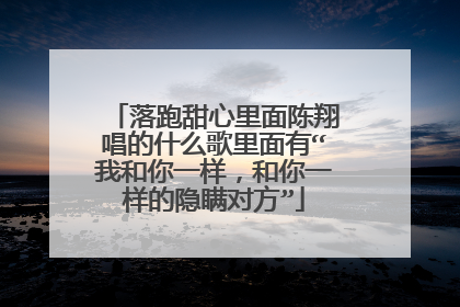 落跑甜心里面陈翔唱的什么歌里面有“我和你一样,和你一样的隐瞒对方”
