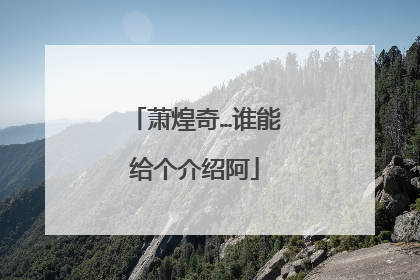 萧煌奇…谁能给个介绍阿