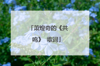 萧煌奇的《共鸣》 歌词