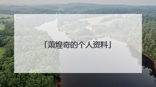 萧煌奇的个人资料