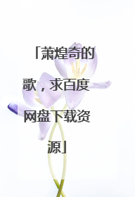 萧煌奇的歌，求百度网盘下载资源