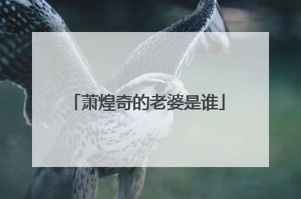 萧煌奇的老婆是谁