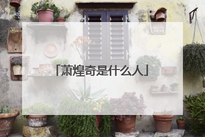 萧煌奇是什么人