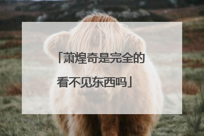 萧煌奇是完全的看不见东西吗