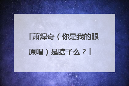 萧煌奇（你是我的眼原唱）是瞎子么？