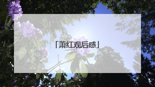 萧红观后感