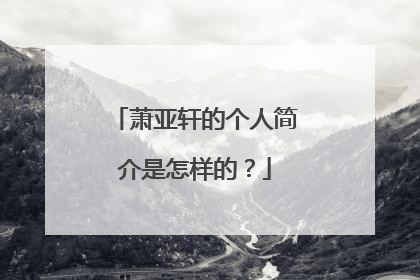 萧亚轩的个人简介是怎样的？