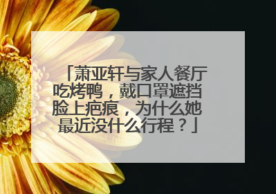 萧亚轩与家人餐厅吃烤鸭,戴口罩遮挡脸上疤痕,为什么她最近没什么行程?