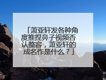 萧亚轩发各种角度推捏鼻子视频否认整容，萧亚轩的成名作是什么？