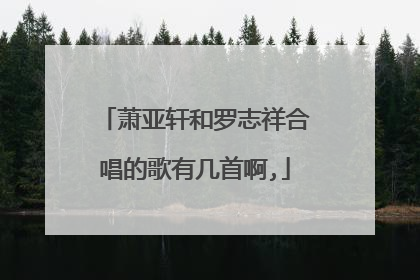 萧亚轩和罗志祥合唱的歌有几首啊,