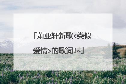 萧亚轩新歌<类似爱情>的歌词!~