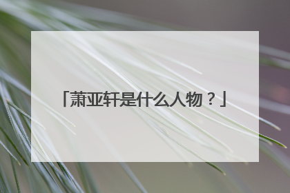 萧亚轩是什么人物?