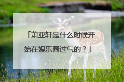 萧亚轩是什么时候开始在娱乐圈过气的？