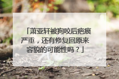 萧亚轩被狗咬后疤痕严重,还有修复回原来容貌的可能性吗?