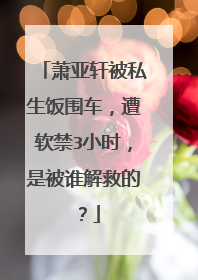 萧亚轩被私生饭围车，遭软禁3小时，是被谁解救的？
