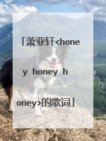 萧亚轩<honey honey honey>的歌词