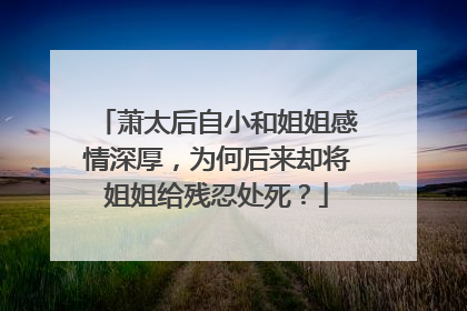 萧太后自小和姐姐感情深厚,为何后来却将姐姐给残忍处死?