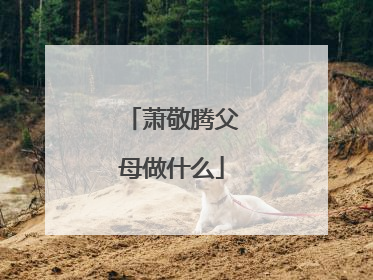 萧敬腾父母做什么