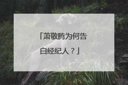 萧敬腾为何告白经纪人?