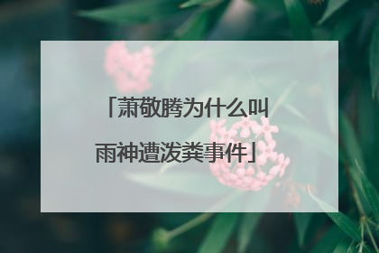 萧敬腾为什么叫雨神遭泼粪事件