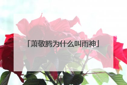 萧敬腾为什么叫雨神