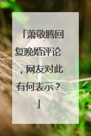 萧敬腾回复晚婚评论,网友对此有何表示?