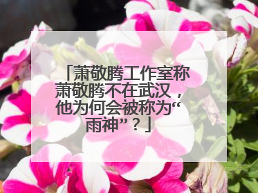 萧敬腾工作室称萧敬腾不在武汉，他为何会被称为“雨神”？