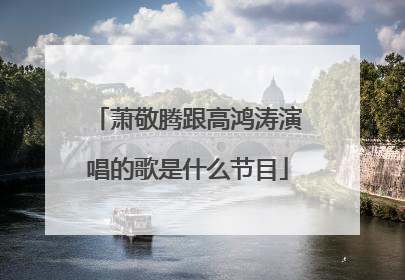 萧敬腾跟高鸿涛演唱的歌是什么节目