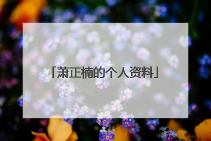 萧正楠的个人资料