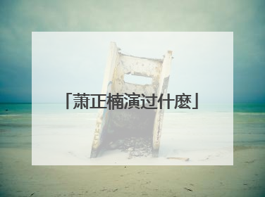 萧正楠演过什麽