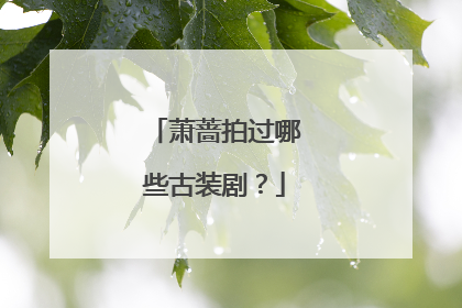 萧蔷拍过哪些古装剧？