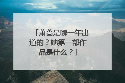 萧蔷是哪一年出道的？她第一部作品是什么？