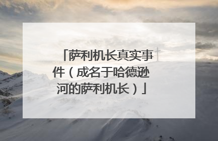 萨利机长真实事件（成名于哈德逊河的萨利机长）