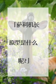 萨利机长原型是什么呢?