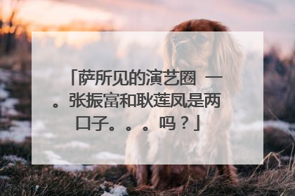 萨所见的演艺圈 一。张振富和耿莲凤是两口子。。。吗?