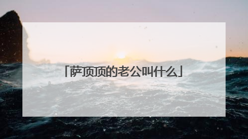 萨顶顶的老公叫什么