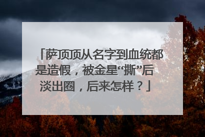 萨顶顶从名字到血统都是造假，被金星“撕”后淡出圈，后来怎样？