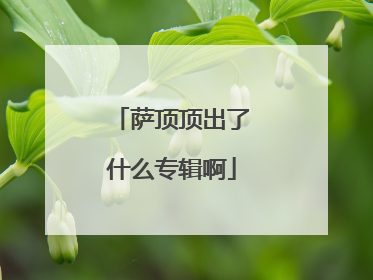 萨顶顶出了什么专辑啊