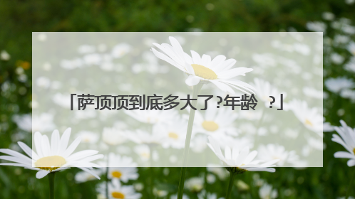 萨顶顶到底多大了?年龄 ?