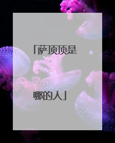 萨顶顶是哪的人