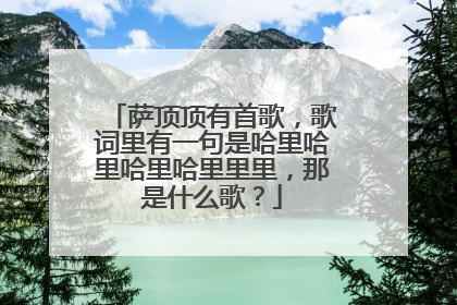 萨顶顶有首歌,歌词里有一句是哈里哈里哈里哈里里里,那是什么歌?