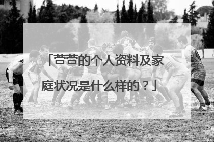萱萱的个人资料及家庭状况是什么样的？