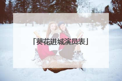 葵花进城演员表